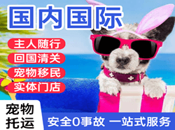 沈阳航空邮寄国际宠物托运 【国
